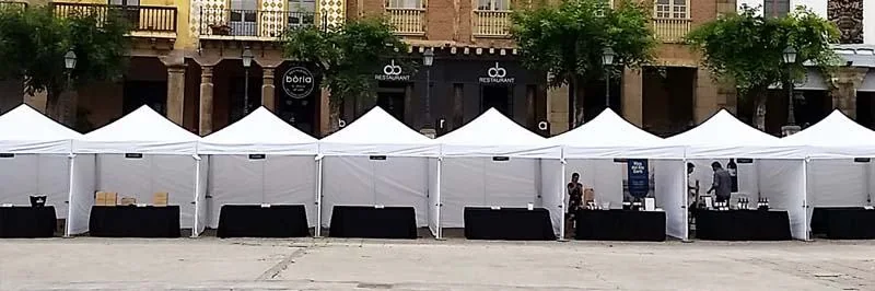 Carpas plegables para eventos
